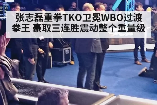 张志磊重拳TKO卫冕WBO过渡拳王 豪取三连胜震动整个重量级