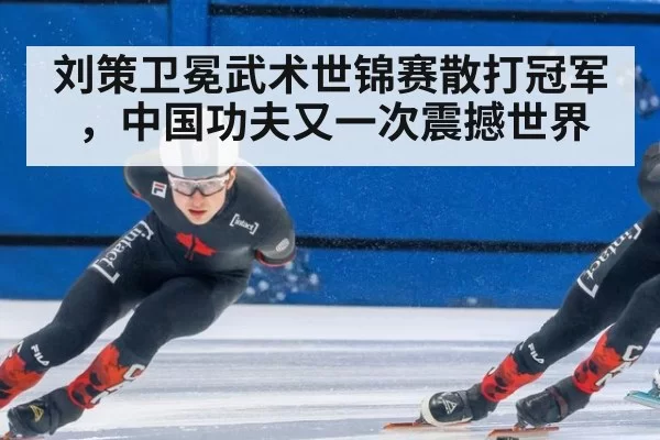 刘策卫冕武术世锦赛散打冠军,中国功夫又一次震撼世界